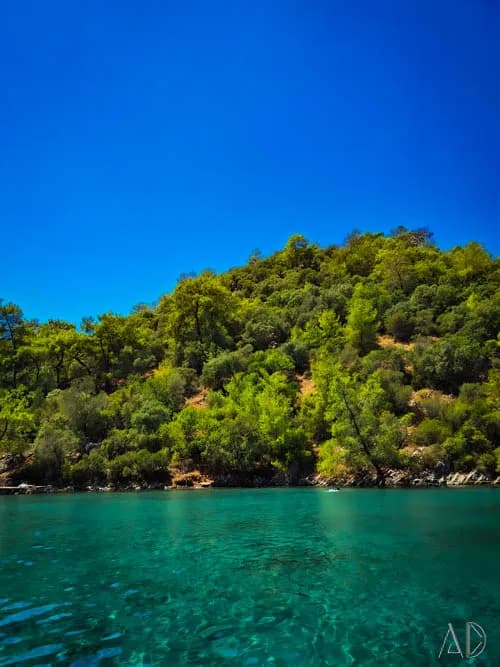 Fotoğraf 141
