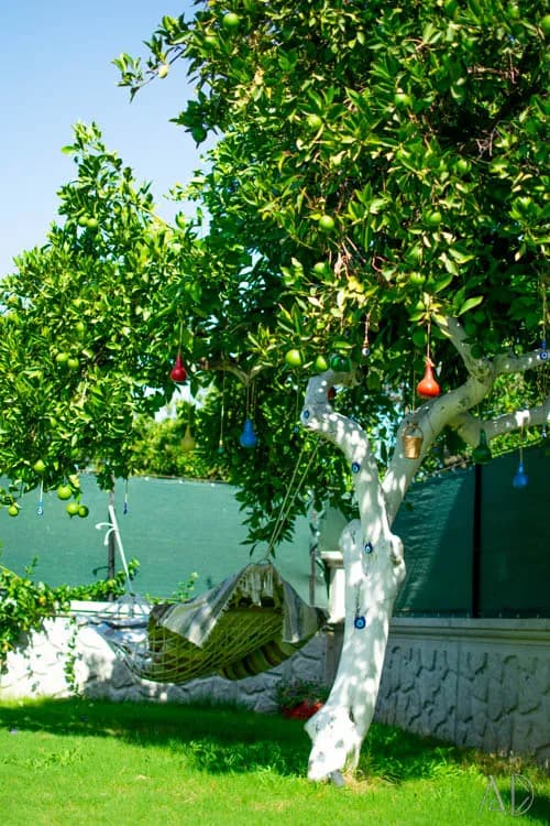Fotoğraf 136