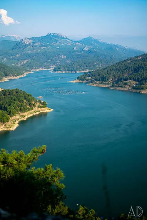 Fotoğraf 132