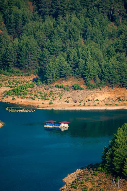 Fotoğraf 131