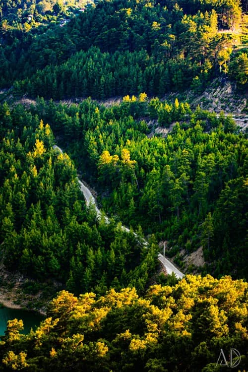 Fotoğraf 128