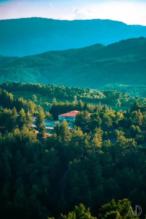 Fotoğraf 127