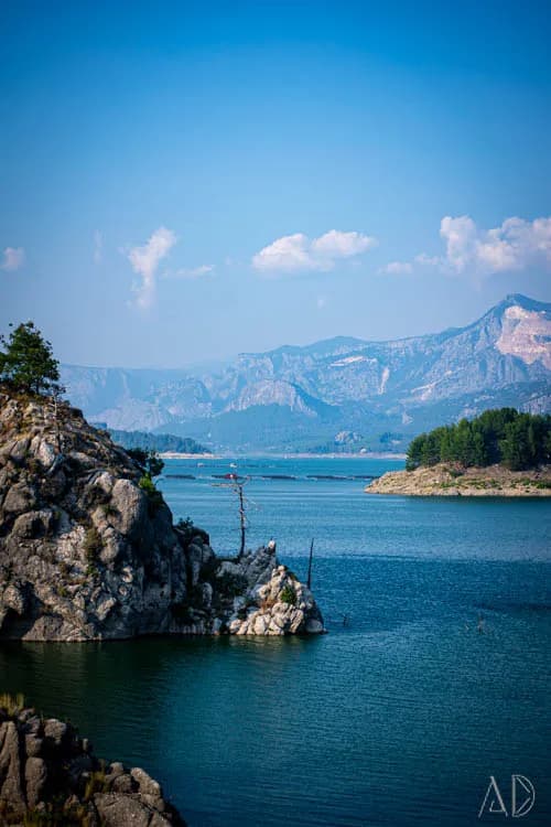 Fotoğraf 122