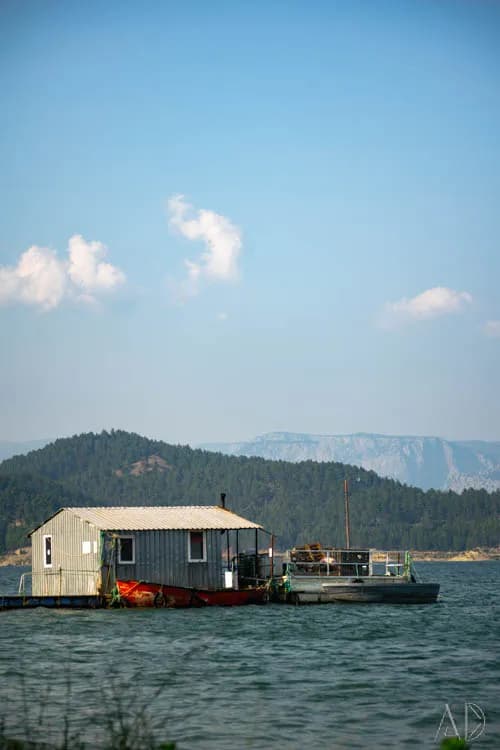 Fotoğraf 120