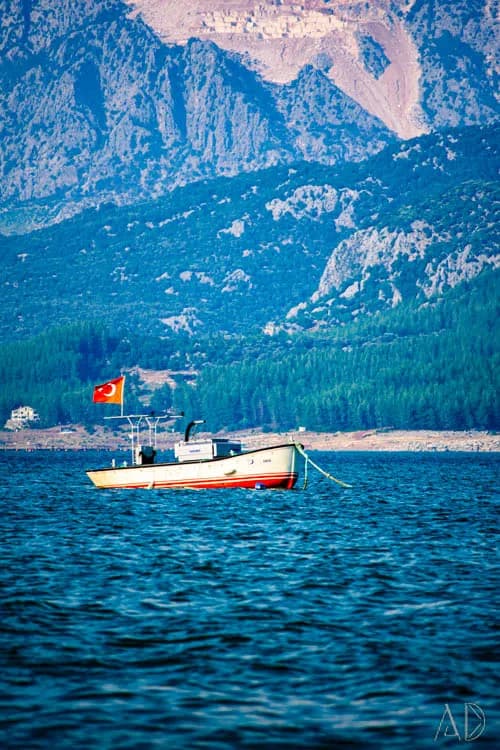 Fotoğraf 119