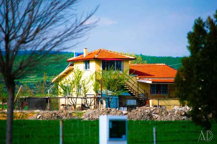 Fotoğraf 101