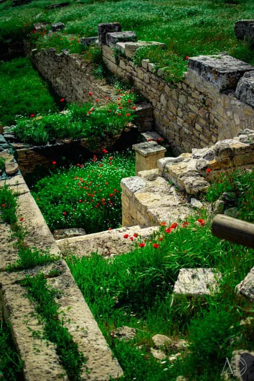 Fotoğraf 98