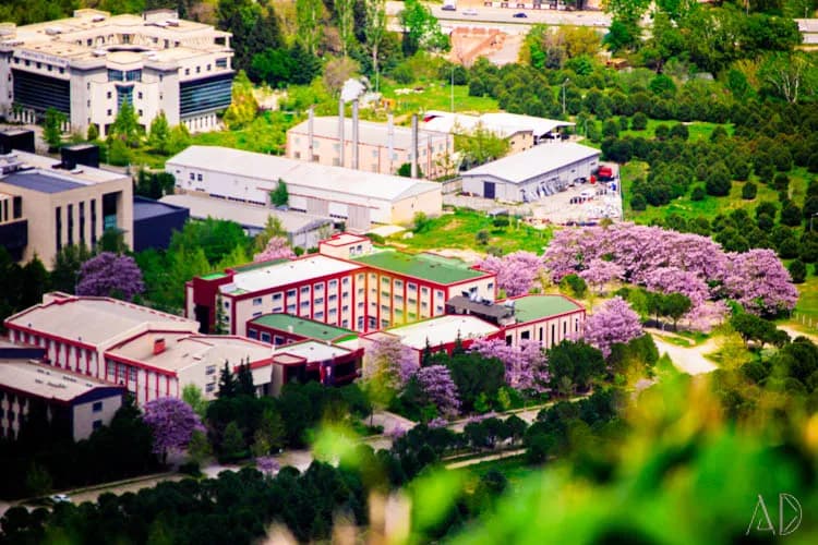 Fotoğraf 92