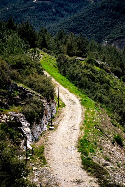 Fotoğraf 89