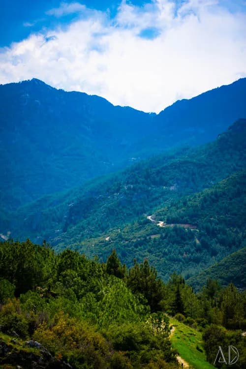Fotoğraf 88