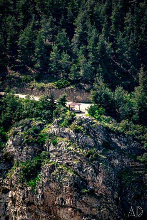 Fotoğraf 87