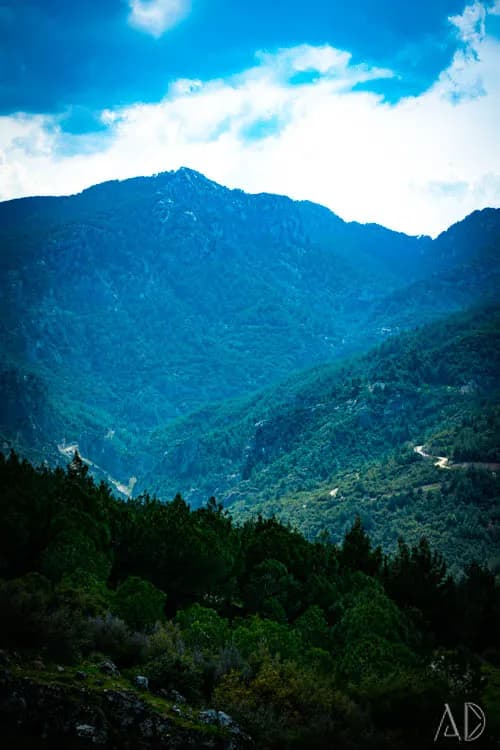 Fotoğraf 86