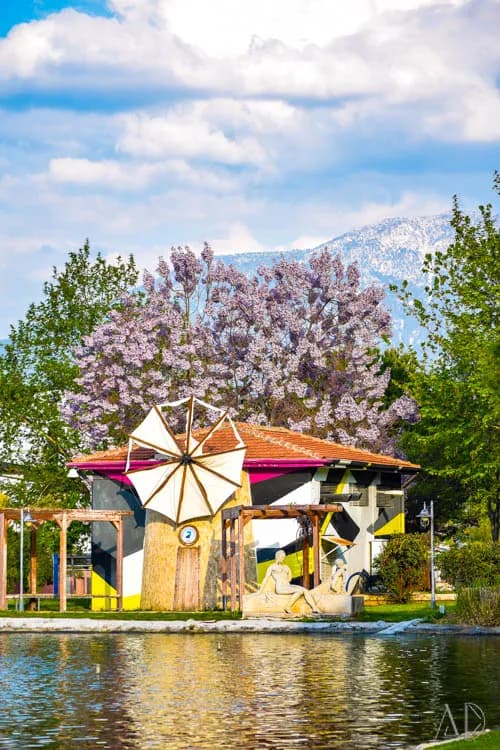 Fotoğraf 84