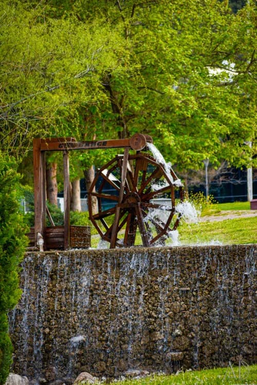 Fotoğraf 82