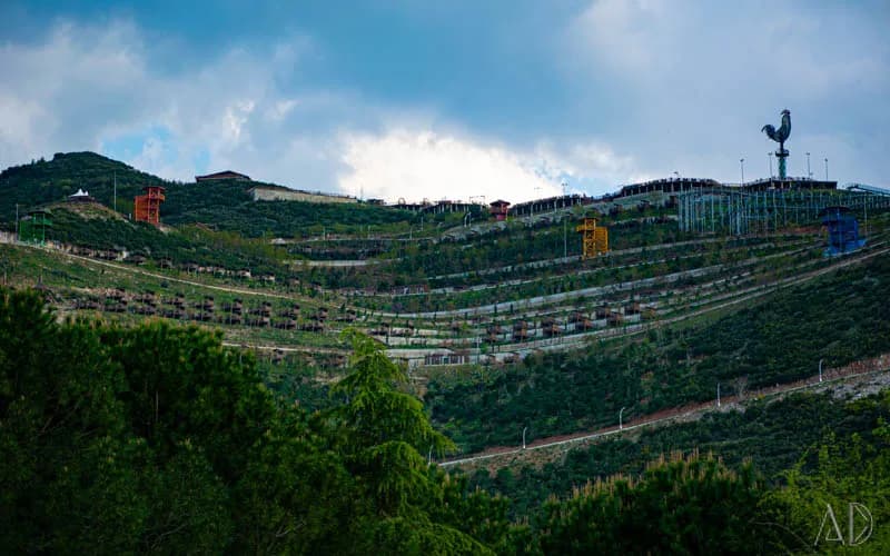 Fotoğraf 81