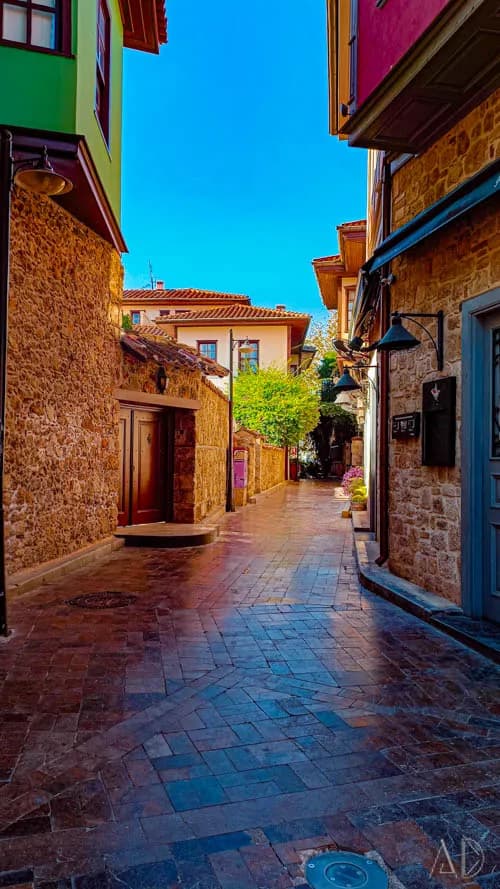 Fotoğraf 75