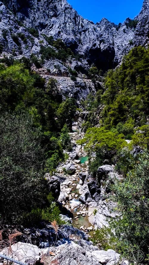 Fotoğraf 74
