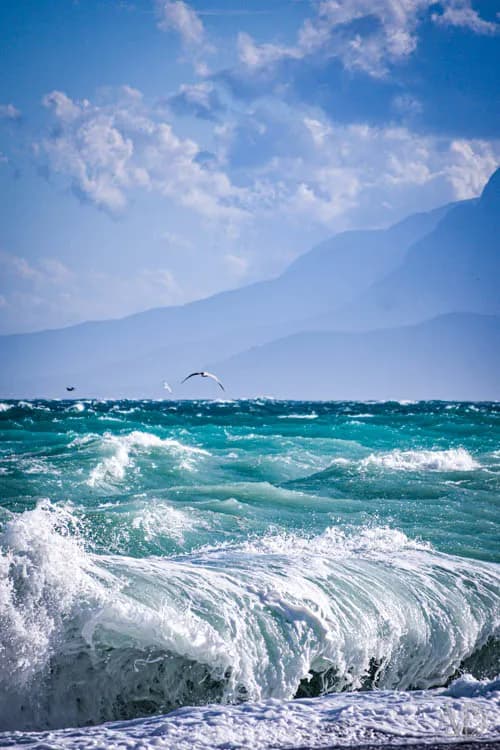 Fotoğraf 72