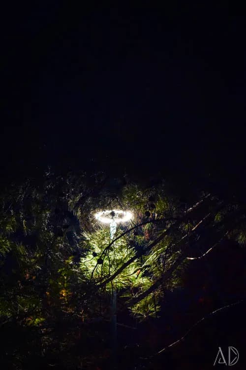 Fotoğraf 63