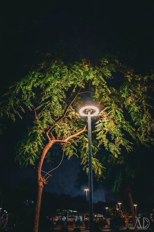 Fotoğraf 61