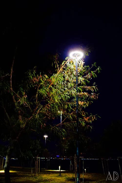 Fotoğraf 57