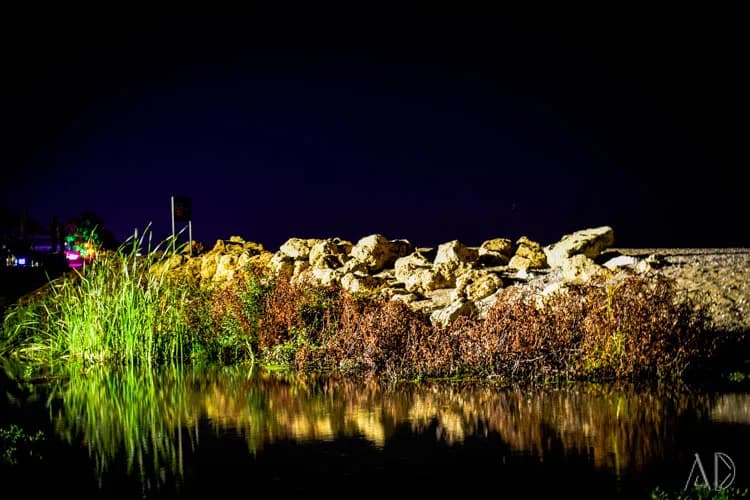 Fotoğraf 56