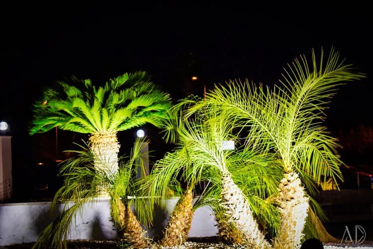 Fotoğraf 55
