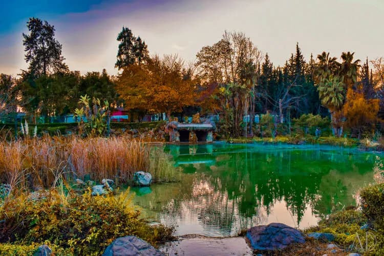Fotoğraf 53
