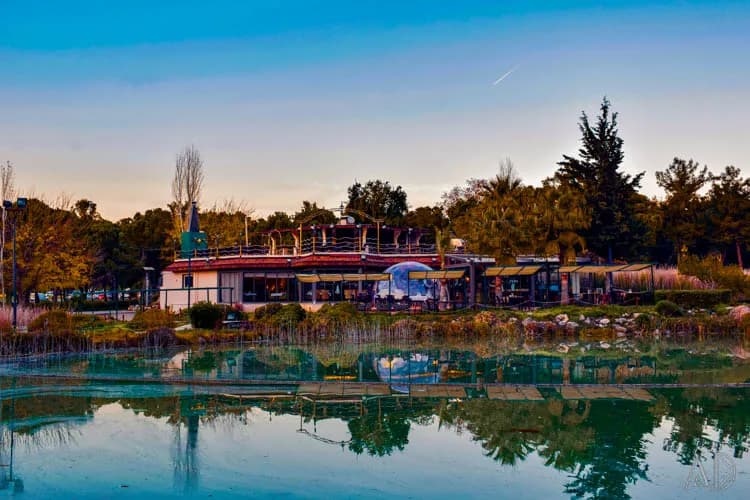 Fotoğraf 52