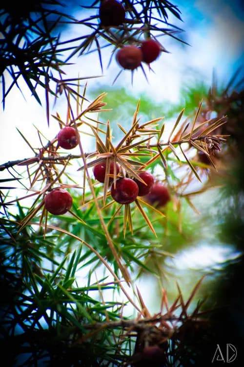 Fotoğraf 45