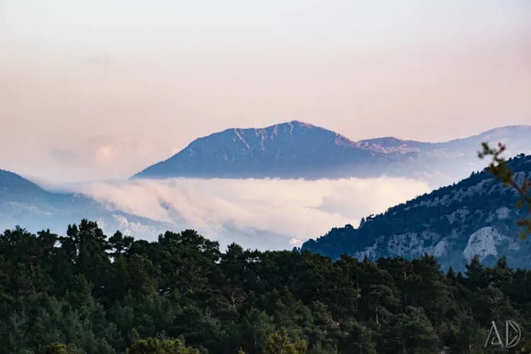 Fotoğraf 39