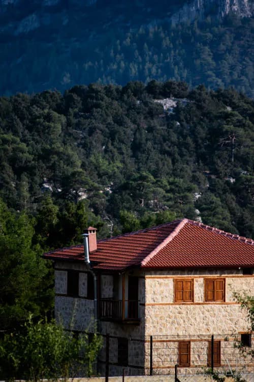 Fotoğraf 38